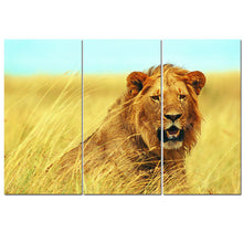 No Frame Animal Oil Painting Lion King Posters Wall Art and Prints Home Decor Mordern Canvas Pictures for Living Room 3 Pieces